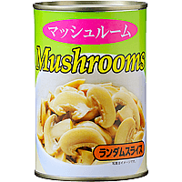 Mushroom （ランダムスライス）